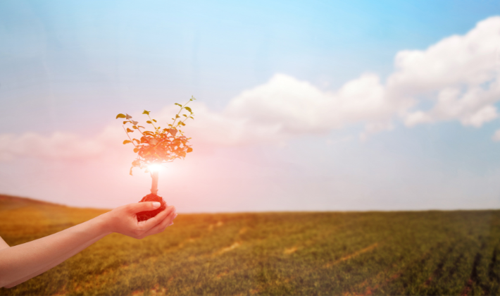 夕暮れの高原で小さな植木を大切に持つ女性の写真。資産形成の土台が整った安心感を象徴するイメージ。